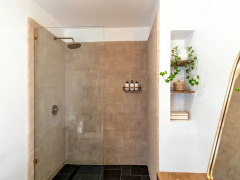 A bright bathroom with a glass shower and a shelf of plants