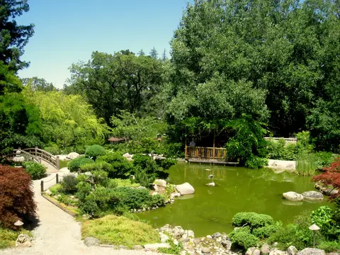 The pond and garden paths at Hakone Gardens in Saratoga, California