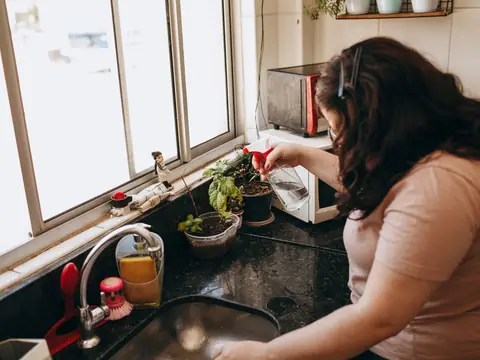 A kitchen sink with a gooseneck faucet below a bright window