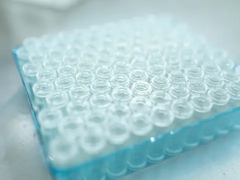 Clear glass sample vials in a blue tray